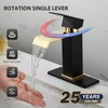 Bathroom Sink Faucet, Black and Gold Color, Waterfall Style, SUS304