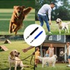 Bailinks Professional Ultrasonic Dog Whistle Set–Adjustable Frequency for Effective Training