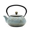 SECHUDO Cast Iron Teapot Tea Kettle with Stainless Steel Infuser