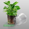 OUPSAUI OUPSAUI 36 Pack 7/6/5/3.5 Inch Clear Nursery Pots with