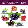 ogaland Black Cassis (90 Capsules/About 3 Month Supply), Beauty Support