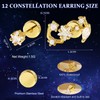 Zodiac Constellation Flat Back Stud Earrings – 14K Gold Plated