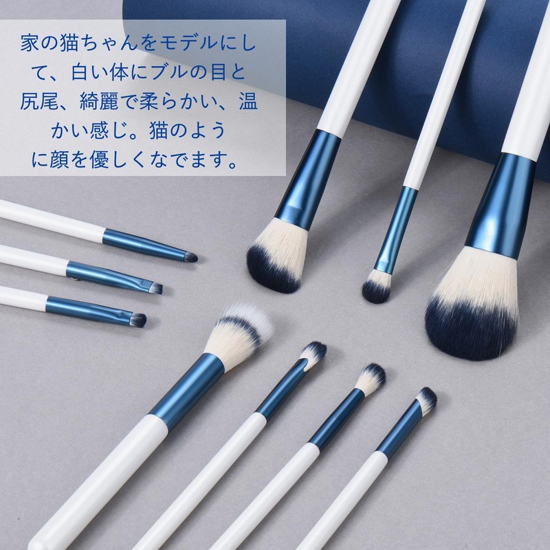 SHELWIN Makeup Brushes Set, 10 Pieces, Makeup Brushes, Powder Brushes,