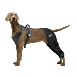 LISPOO Dog Knee Brace for hind Leg Warms Joints and Stable, Dog Leg Brace Fully Wraps hind Legs, Dog Acl Brace for Leg Wounds and Prevent Licking M