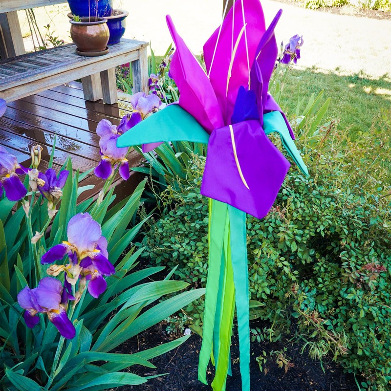 In the Breeze 5227 — Iris Windtail — Colorful 3D
