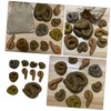 VILLFUL Prank Toys 10pcs Fake Poo Toy Realistic Novelty Sliers