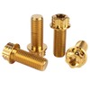 UHDFBDHF 4Pcs Titanium Bolt Flange Torx Head M8 M10 x