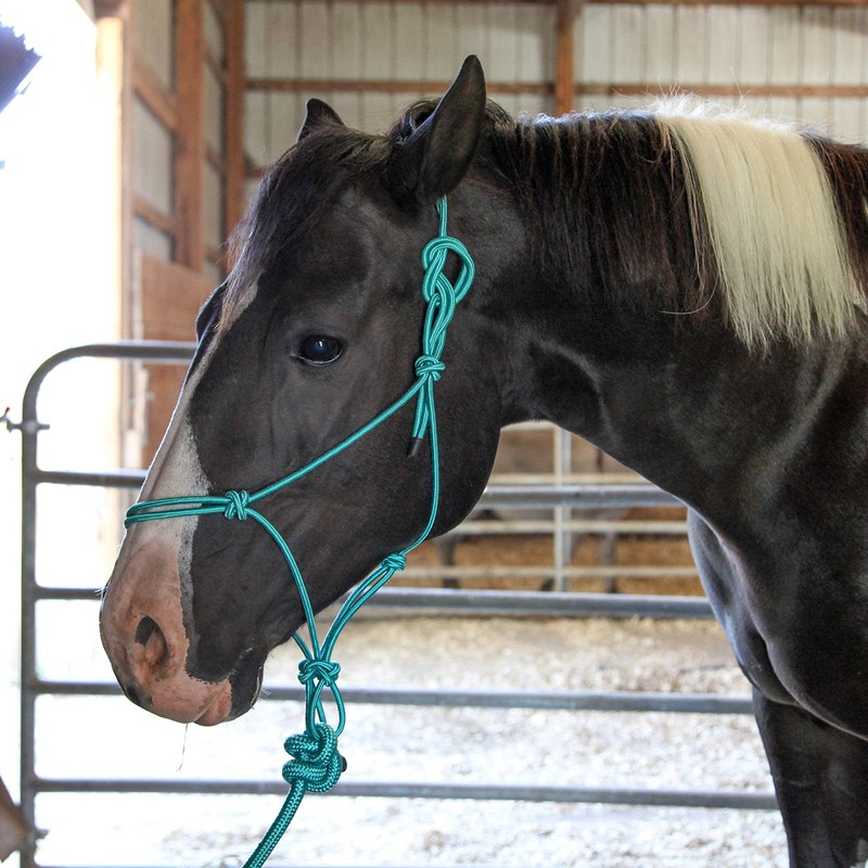 Majestic Ally 1/4" Rope 4 Knot Stiff Polyester Training Halter