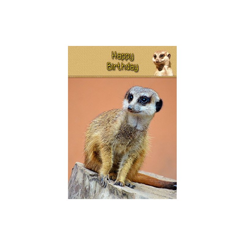Meerkat Birthday Card
