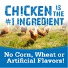 Nutri Source TU80020 14 oz Soft & Tender Chicken Treats
