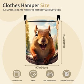 Funny Squirrel Laundry Basket Hamper for Boys Girls Kids Adults, Foldable Waterproof Oxford Clothes Storage Bin, Cute Forest Animal Organizer for Bedroom Bathroom Room Decor 19.7"x15.8"