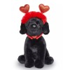 FAO Schwarz 12" Sparklers Wear and Share Black Labrador with