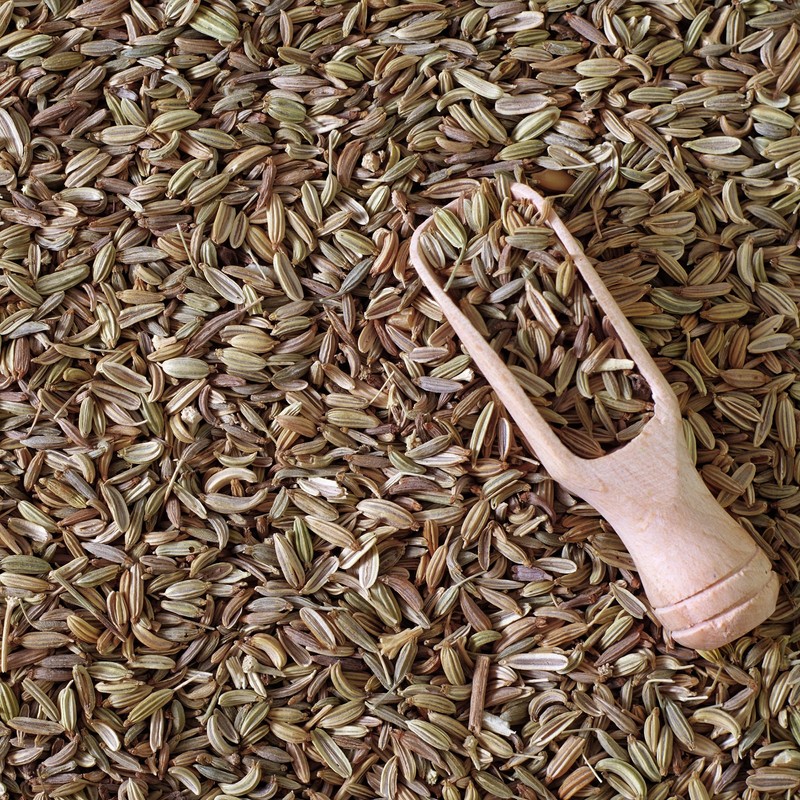 GranAroma Ground Fennel, 8 oz, Light Anise Flavor, Cooking &