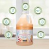 Ginger Lily Farms Botanicals 3-in-1 Shampoo, Conditioner & Body Wash,