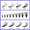 Individual Lashes DIY Eyelash Clusters 300PCS C/D Curl Lash Clusters