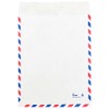 JAM PAPER Tyvek Tear-Proof Open End Catalog Envelopes - 10