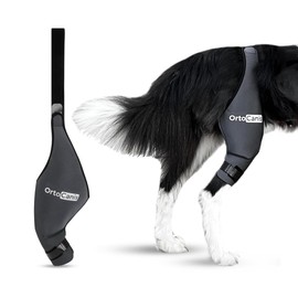 Ortocanis - Dog Knee Brace - For Right Hind Leg - Made of ARD Neoprene - For ACL Tear, Ligament Injuries, Patellar Luxation or Osteoarthritis - Size XXX-Small (6,4 - 7 ")