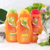 Makarizo Conditioning Shampoo, Aloe & Melon, 6.1 fl oz (170
