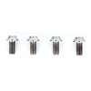 Reve D RT-020-06 M3x6mm BH Screw