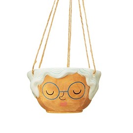 Sass & Belle Rose Hanging Planter
