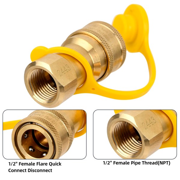 Lezbanz Natural Gas Quick Connect Fittings 1/2 Inch, Male Female