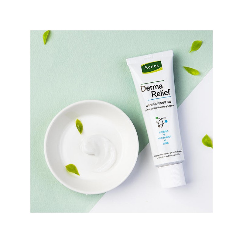 Acnes 아크네스 더마 릴리프 리커버리 크림 40mlx2 Acnes Derma Relief