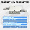 LEQ DCRV45-06N Dual Crossover Hydraulic Cushion Valve, 3/8 NPT, 12