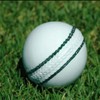Cricket Ball (Pack Of 2) 156g - 5.5oz, Leather Hnad