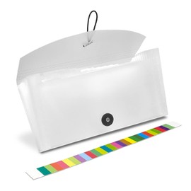 Taiko Document File (13 Pockets/Sorting Sheet) Receipt Storage (Clear White)