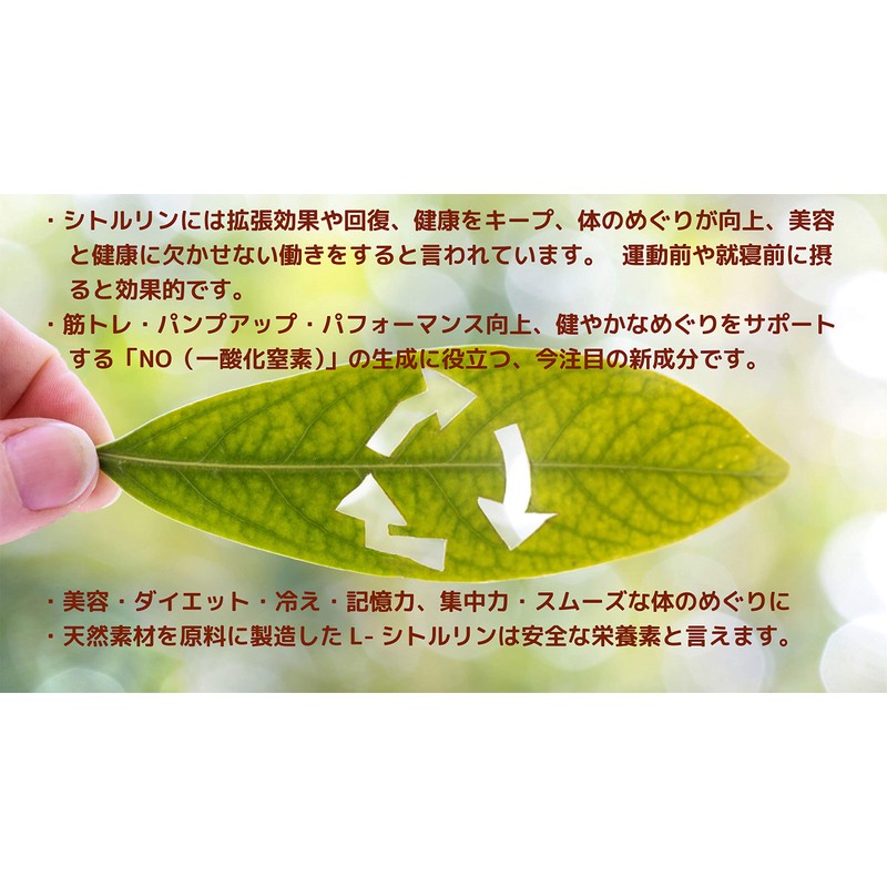 JAY&CO. シトルリン 1000mg 錠剤 (90日360粒)