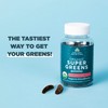 Ancient Nutrition Supergreens Gummy, Organic Superfood Gummy Made from Real