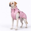 Dog Raincoat for Rainy Walks – Waterproof Polyester Jacket with
