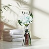 Aronica Clean Linen Reed Diffuser for Bathroom Decor, Room Fresheners