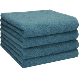 Betz Hand Towel Set of 4 Berlin Size 50 x 100 cm 100% Cotton - Good Drying Lightweight Quality - Ideal for Sports, Beach, Travel Colour Dove Blue