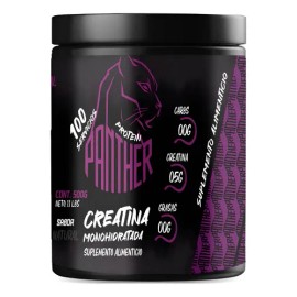 Creatina Panther Protein En Polvo 500g Varios Sabores