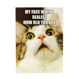 UK Greetings Birthday Card for Him/Her/Friend - Meme Design