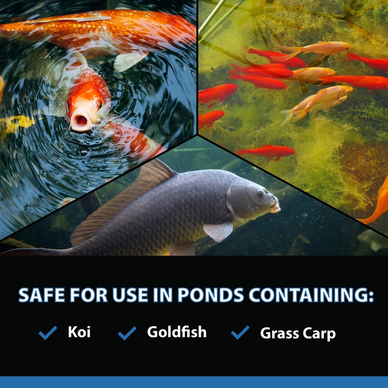 CrystalClear AlgaeOff Pond & Water Garden Scum Cleaner, Waterfall &