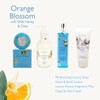 Di Palomo Orange Blossom & Honey Lip Balm – 3