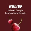 Halls Relief Sugar Free Black Cherry Flavor Drops Economy Pack,