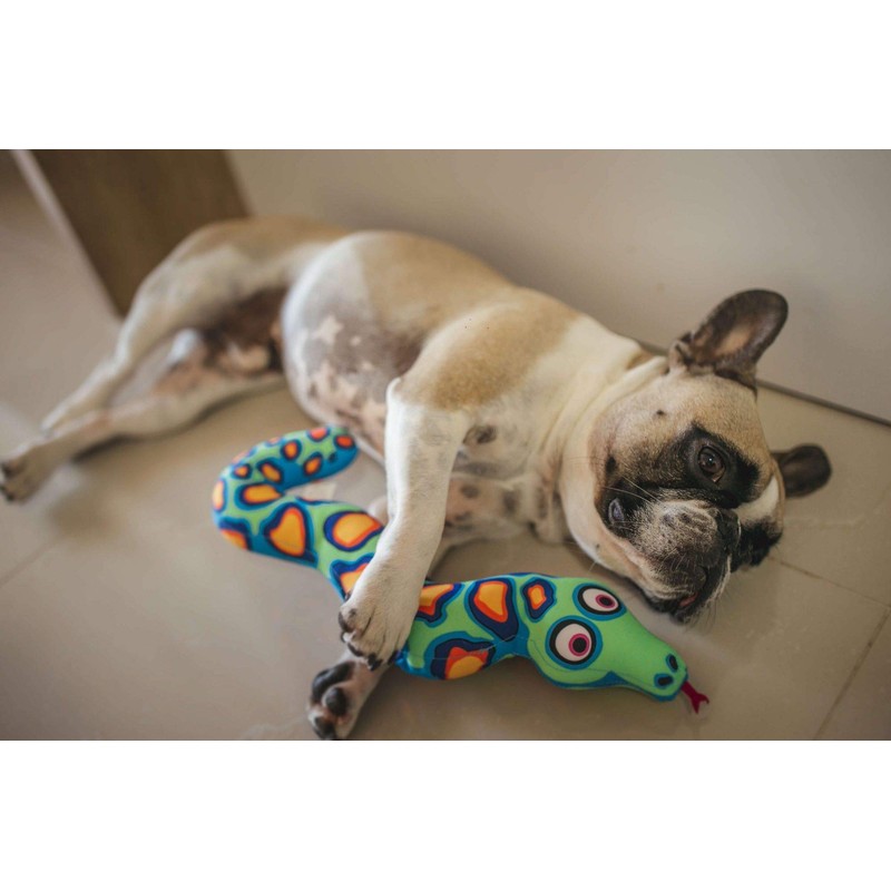 Petmate Fat Cat Incredible Strapping Yankers Dog Toy, Snake (Colors