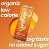 WAVE White Tea Peach Mango Sparkling Beverage Refresher | Low