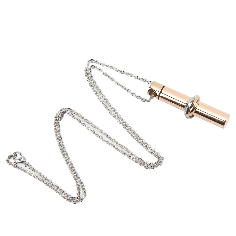 Ashes Necklace 316L Stainless Steel Oxidation Resistant Memorial Cremation Jewelry