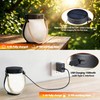 Toodour Solar Lanterns Outdoor, 2 Pack Flickering Flame Hanging Lantern