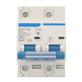 Current Circuit Breaker, DZ47-125 2P Current Miniature Circuit Breaker 400V 80/100/125A Leakage Protection Switch Supplemental Protection(125A)