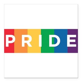CafePress Gay Pride Square Car Magnet 3 X 3 Square Car Magnet, Magnetic Bumper Display