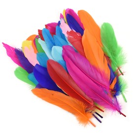 HAIOPS Colorful Goose Feathers, 200Pcs 7.5Inch Colored Feathers for DIY Crafts, Dream Catcher and Party Decor
