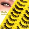 10 Pairs 5 Styles Mixed Clear Band Artificial Eyelashes Cat