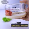 Matifaner 16 oz Glass Container with Lid,Glass Food Storage Container-Clear,Meal