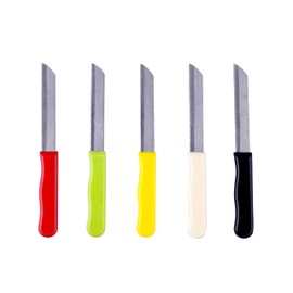 Archy Creations Micro Plus High Carbon Plain Stainless Steel Kitchen Knife Set, Multicolor Plastic Handles, 10 Pack, 420 Grade Blade (Laser)