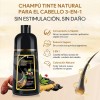 Kaisasa® Shampoo Con Tinte Cubre Canas Natural Jengibre 2pzs